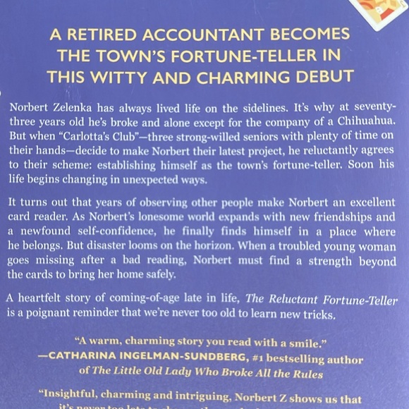 🤩3/$12🤩 The Reluctant Fortune Teller - Picture 4 of 4